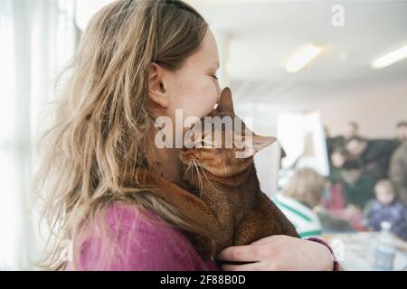 April 7, 2013, Kolomna, Russia. Close-up portrait of a beautiful red-haired young Abyssinian cat in the arms of its owner. The cat gently hugs the own Stock Photo