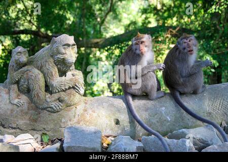 Two macaque monkeys sitting beside monkey statue in Monkey Temple, Bali Indonesia Stock Photo