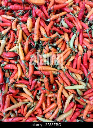 Red Chillies on the market Stock Photo