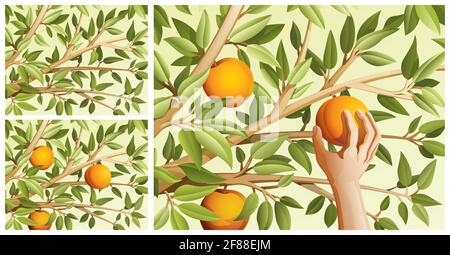 Set of backgrounds with leaves and fruits in pastel colors. Vector print illustration Stock Vector