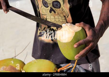 Man opening coconut with Machete, San Pedro, Belize Stock Photo