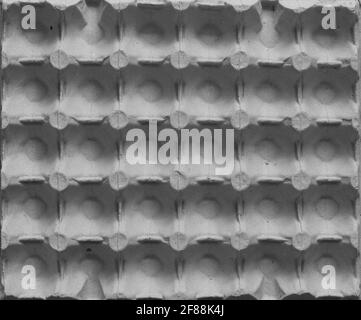 External side of chicken egg tray made of recycled paper, abstract background Stock Photo