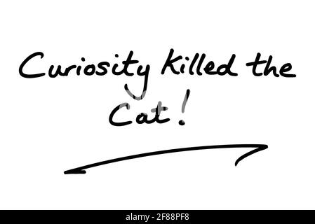 Curiosity Killed the Cat! handwritten on a white background. Stock Photo