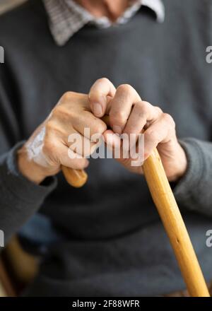 Old man's hands holding wooden walking stick Stock Photo