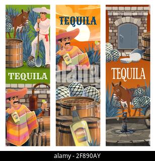Tequila Mexican alcohol drink production banners, vector. Mexican man in sombrero and poncho with bottle of blue agave, tequila production farm, jimad Stock Vector