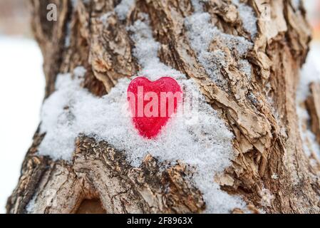 A red figurine of a heart made of ice lies in the snow on the bark of a tree. Unrequited love concept. Blurred background, copy space Stock Photo