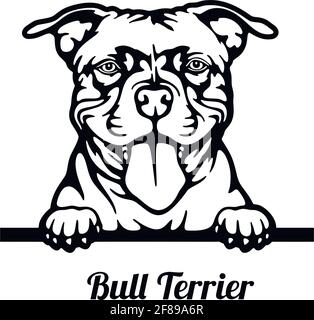 Bull Terrier Peeking Dog - head isolated on white Stock Vector