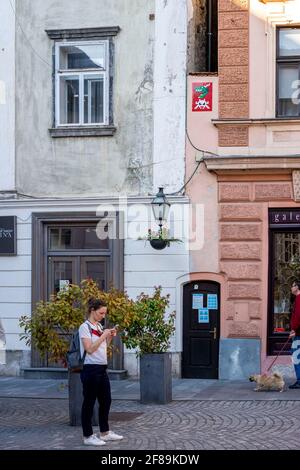 Invader invaded Ljubljana Stock Photo