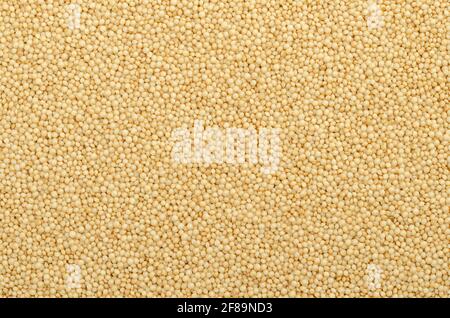 Amaranth grain surface and background. Tiny seeds of Amaranthus, a gluten free pseudocereal similar to quinoa, a staple food and source of protein. Stock Photo