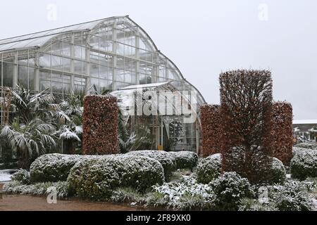 Early morning snow at the Glasshouse, RHS Garden Wisley, Woking, Surrey, England, Great Britain, United Kingdom, UK, Europe Stock Photo