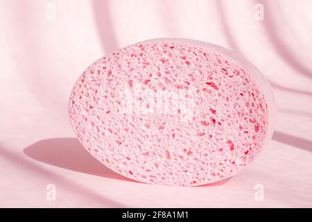 Pink porous sponge for bath on pink background with shadows. Stock Photo