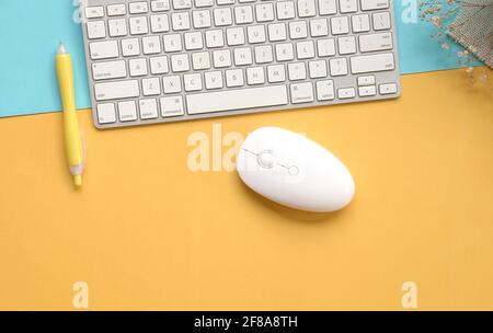 Keyboard, mouse and yellow pen with dried flowers on yellow and blue background. Top view. Copy space. Stock Photo