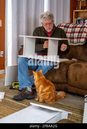 man puts a small cabinet together while his cat watches closely Stock Photo