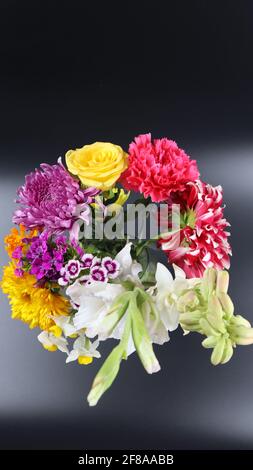 Beautiful bouquet or group of different bright flowers isolated on dark background, Canna, Carnation, Chrysanthemum, Daffodil, Dahlia, Rose, Lily Stock Photo