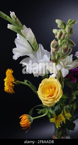 Beautiful bouquet or group of different bright flowers isolated on dark background, Canna, Carnation, Chrysanthemum, Daffodil, Dahlia, Rose, Lily Stock Photo