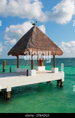 white pier with thatched roof and pelican over green ocean with blue sky in Cancun, Mexico Stock Photo