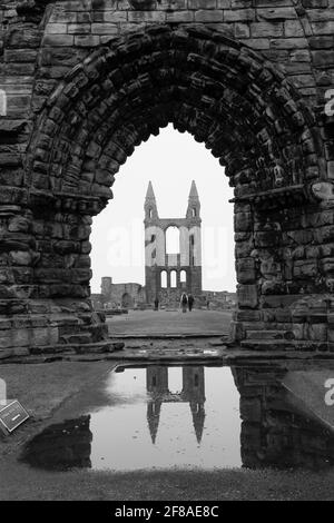 Ruins of St. Andrew's Cathedral, Scotland Reflected in Water Stock Photo