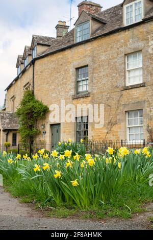 Spring daffodils in the cotswold village of Lower Slaughter. Cotswolds, Gloucestershire, England Stock Photo