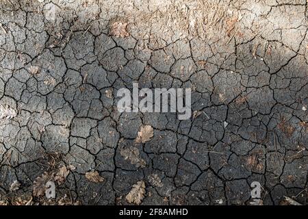 Brown dry cracked ground with dried old leaves. Dried clay texture and patterns cracked surface of clay and land. Stock Photo