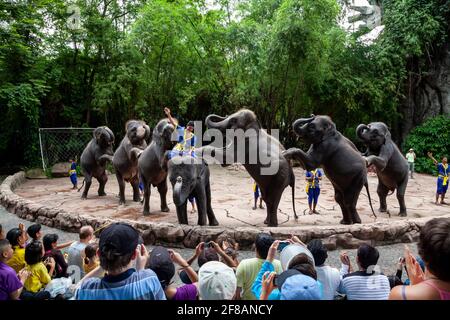 An elephant show at the famous Safari World zoo in Bangkok where elephants perform different acts for spectators. Stock Photo
