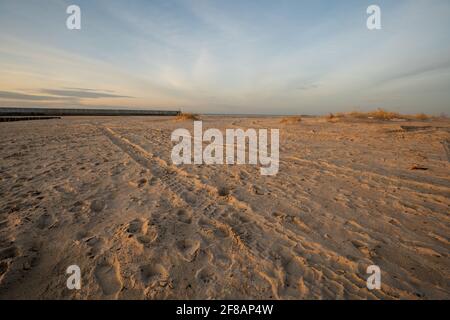 Tire tracks of an off-road car driving on the beach Stock Photo