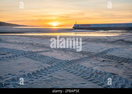 Tire tracks of an off-road car driving on the beach Stock Photo