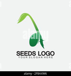 Plant Seeds Logo Concept Template Vector.growing seed logo.Seed grow Vector logo illustration design template Stock Vector