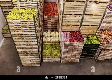 Apples and pears in crates ready for shipping. Cold storage interior. Stock Photo