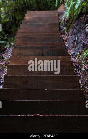 Dark brown wooden stairs leading up slope Stock Photo