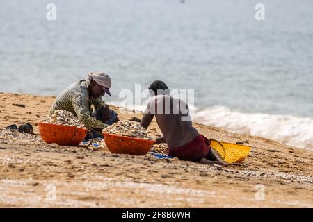 ponnani fishing harbour Stock Photo