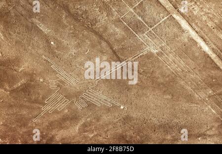 Hummingbird geoglyph sepia colored, Nazca or Nasca mysterious lines and geoglyphs aerial view, landmark in Peru Stock Photo