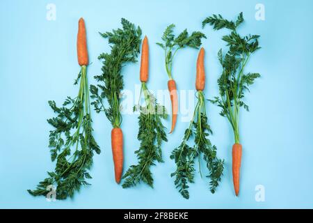 Fresh carrot with leaves on blue background Stock Photo