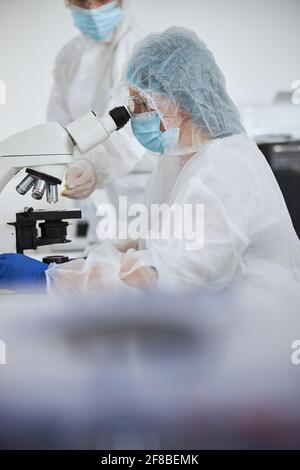 Virologists viewing a viral specimen on the glass slide Stock Photo
