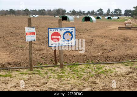 Free range pig farming disease precautions No Entry sign, Sutton, Suffolk, England, UJK Stock Photo