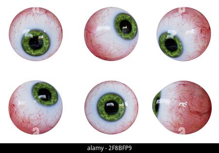collection of human eyeballs with green iris isolated on white ground Stock Photo