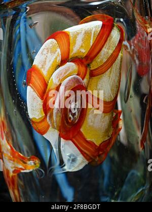 Snail shell or sea snail in a glass vase. A fairytale world in crystal glass. Exhibition of handmade glass Stock Photo