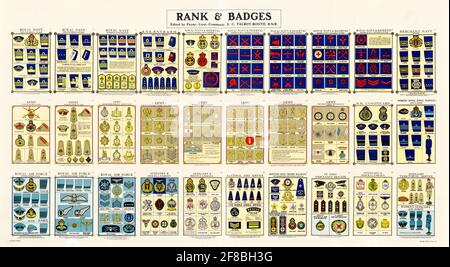 WW2: Rank and Insignia of the British Armed Forces poster, 1942-1945 Stock Photo