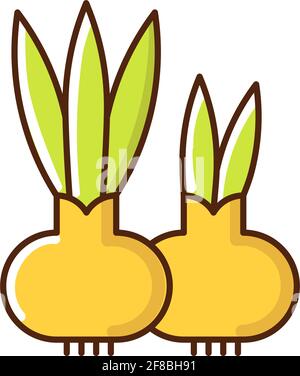 Flower bulbs RGB color icon Stock Vector