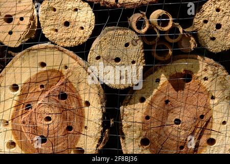 Insect or bug hotel. cut dry timber log detail. tree trunk pieces. drill holes stacked in wood frame. metal fence mesh cover. home for bugs and bees Stock Photo