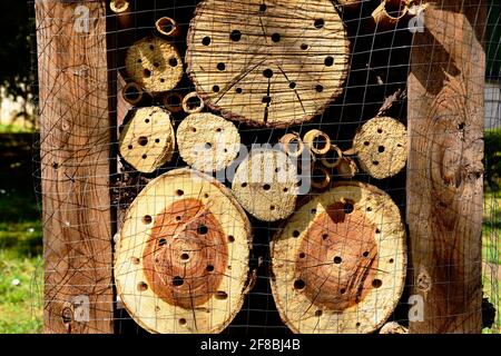 Insect or bug hotel. cut dry timber log detail. tree trunk pieces. drill holes stacked in wood frame. metal fence mesh cover. accommodation for bugs Stock Photo