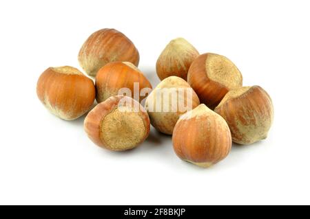 Hazelnuts isolated on the a white background Stock Photo