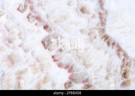 Natural light onice background for your adorable home interior. High quality texture. Stock Photo