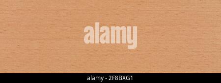Natural beech veneer background in warm beige color. Natural wood texture, pattern of a long veneer sheet, plank. Stock Photo