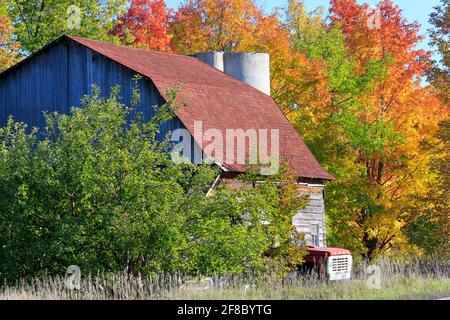 Old Barn Framed by Colorful Trees with Fall Colors in Door County Wisconsin Stock Photo