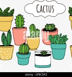 Cactus hand drawn vector seamless pattern, plant collection, houseplant illustration isolated on white background Stock Vector