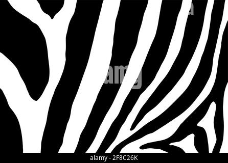 Zebra skin texture pattern, seamless vector background, hand drawn illustration Stock Vector