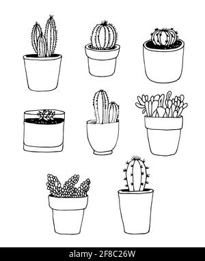 Cactus hand drawn vector set, plant collection isolated on white background Stock Vector