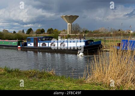 Swan, narrowboat and water tower at the Stainforth and Keadby Canal, Thorne, South Yorkshire, England UK Stock Photo