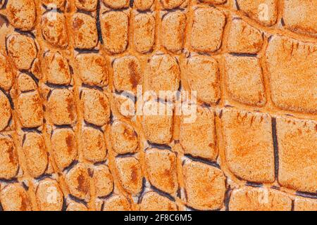 Texture of brown genuine leather embossed Reptile scales close-up, trend pattern, natural background, copy space Stock Photo