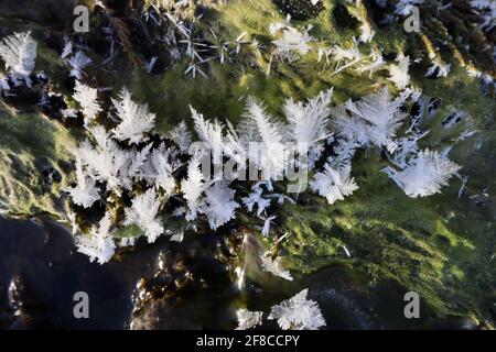 Nature’s creative elegance: Ice sculptures and ice flowers, combined with the clear waters and plant-covered rocks of the Yukon River. Stock Photo